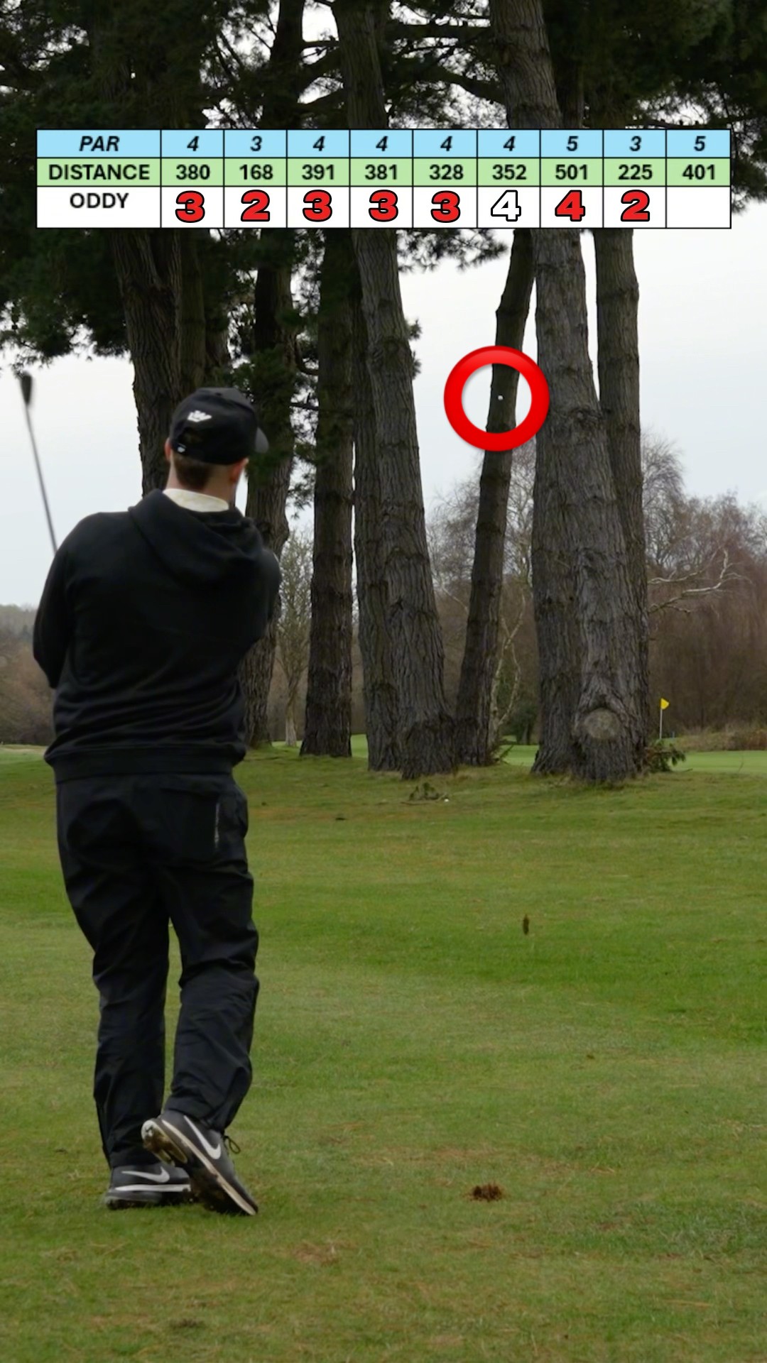 9 HOLES in 90 SECONDS??? #golf