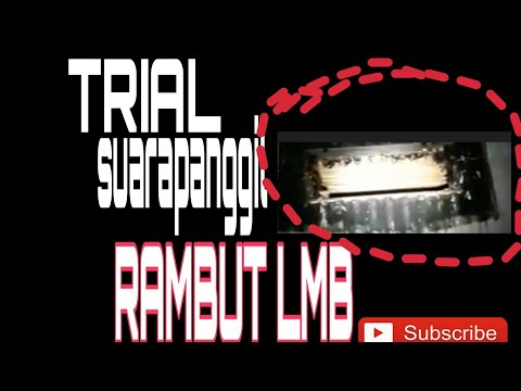 trial-sp-rambut-rambut-lmb-original-suara-panggil-walet