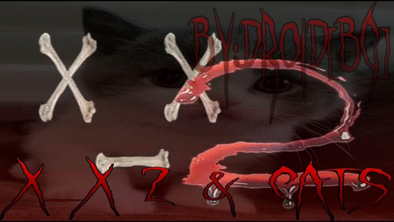 X x2 sashikostanin remix reupload. Телеканал 2x2 логотип. Американо девушка из клипа. X x2 sashikostanin remix reupload. X x2 sashikostanin remix reupload.