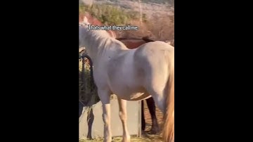 please consider donating to our PayPal link in bio for support towards our innocent souls please #do