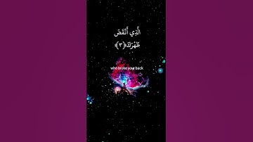 القارئ : بدر التركي 💞سورة الشرح