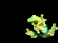 Fuzzion  frog on the run extrawelt remix