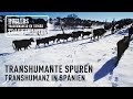 TRANSHUMANTE SPUREN. TRANSHUMANZ IN SPANIEN Trailer (Deutsch Untertitel)