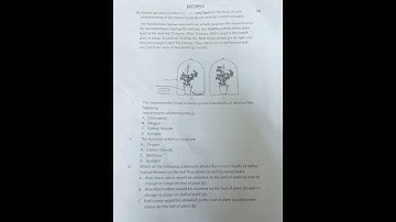 Science question paper half yearly exam 2022-2023 class 10 cbse