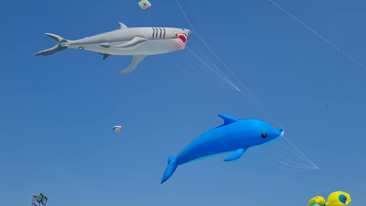 Kite Festival At The Sabarmati Riverfront Ahmedabad