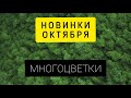 Многоцветные новинки ОКТЯБРЯ // Аннаяке, Иволга, Эстэ, Химера, Надима, Голден Роуз, CS Love и др.