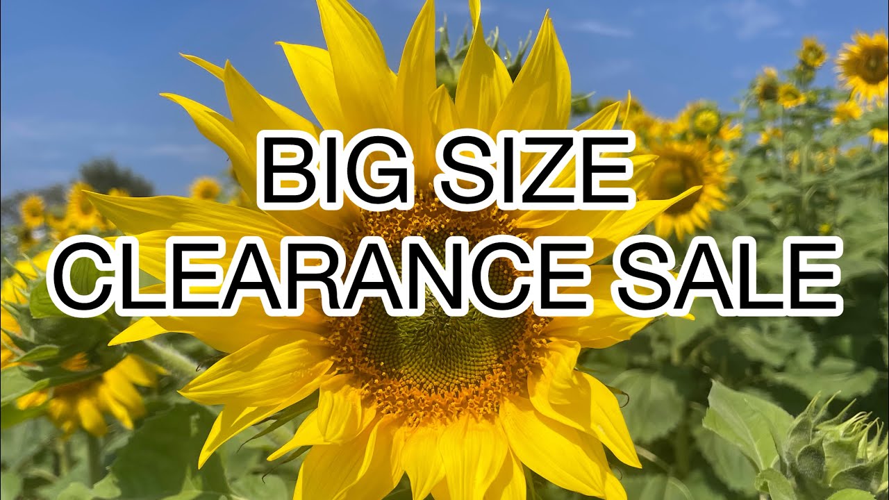 വിറ്റൊഴിക്കൽ മേള #clearancesale#fashion #kurti #bigsize #onlineshopping #dress 