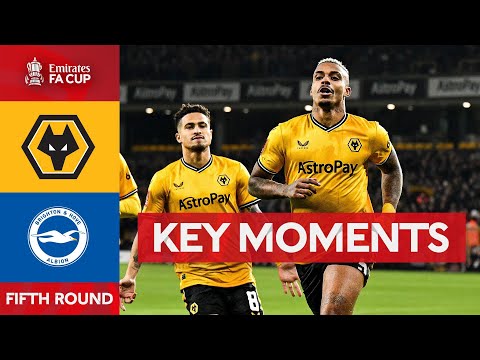 Wolves Brighton Goals And Highlights