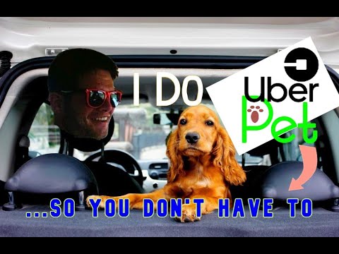 Video: Lyft vs. Uber: Mikä Rideshare-sovellus on paras?