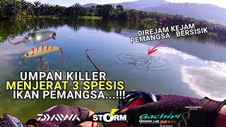 CASTING JELAWAT, TALAPIA & HARUAN GUNA UMPAN KILLER ‼ BFS ULTRALIGHT FISHING@AmirChannel77