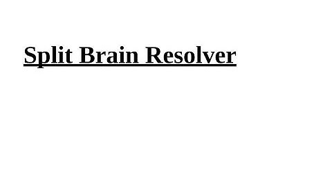 SPLIT BRAIN RESOLVER