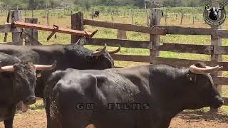 DOCUMENTAL: RANCHO SAN MANUEL DE TICUL