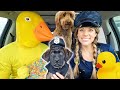 Police Steals PUPPY From Rubber Ducky In Car Ride Chase!