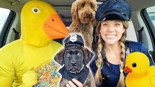 Police Steals PUPPY From Rubber Ducky In Car Ride Chase!