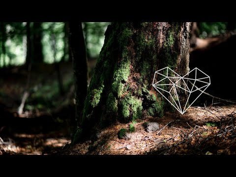 Oceanvs Orientalis Asylum Original Mix Downtempo Kiosk I D 