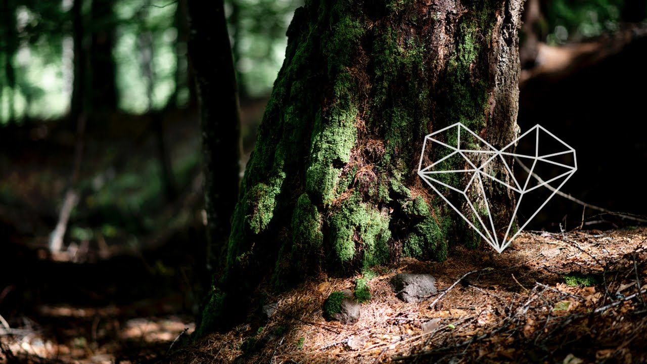 Oceanvs Orientalis Asylum Original Mix Downtempo Kiosk I D Hmwl