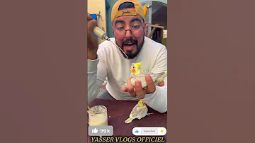 بوبيزة زوينة YasserVlogs Shorts 