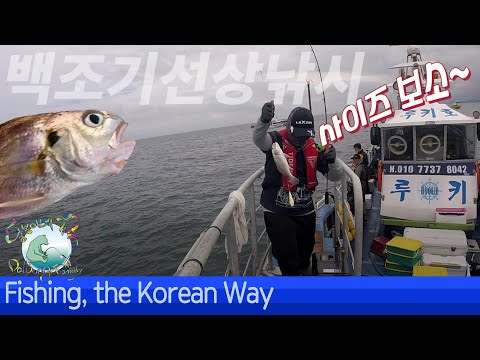 <strong>무창포</strong> 백조기 선상낚시