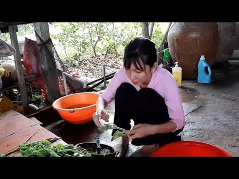 Video Đọt Bầu Nấu Canh Tép Và Cá Rô Kho Lạt # SĂN BẮT ĐỒNG... - youtube