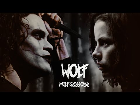 wolf | multicrossover (secret santa)