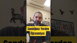 Çocuklar En Çok Bunu Kopyalıyor. #ebeveynlik #psikoloji #çocukgelişimi #baba #anne