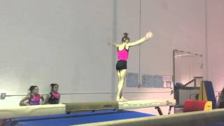 Arabian resi beam