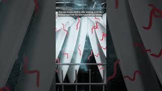 What Actually Happens Inside a Dishwasher?