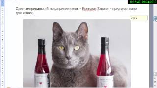 вино для кошек