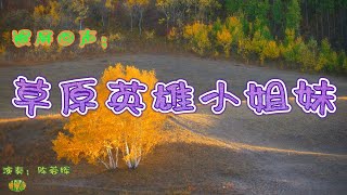 草原英雄小姐妹 - 小提琴。动画片《草原英雄小姐妹》音乐，演奏：陈蓉晖等。Mongolian Songs