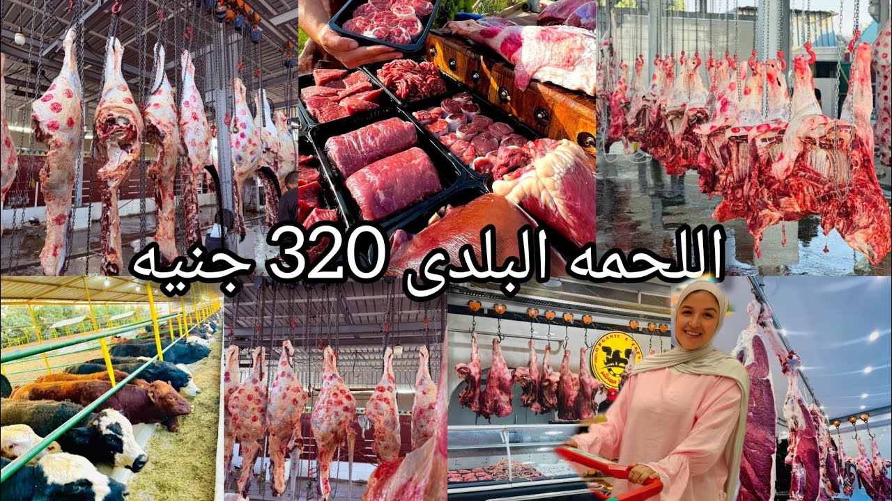 جوله فى أكبر وأرخص مزرعة لحوم فى مصر🍖🛒هتجيبى كل احتياجات بيتك بأقل الاسعار👌