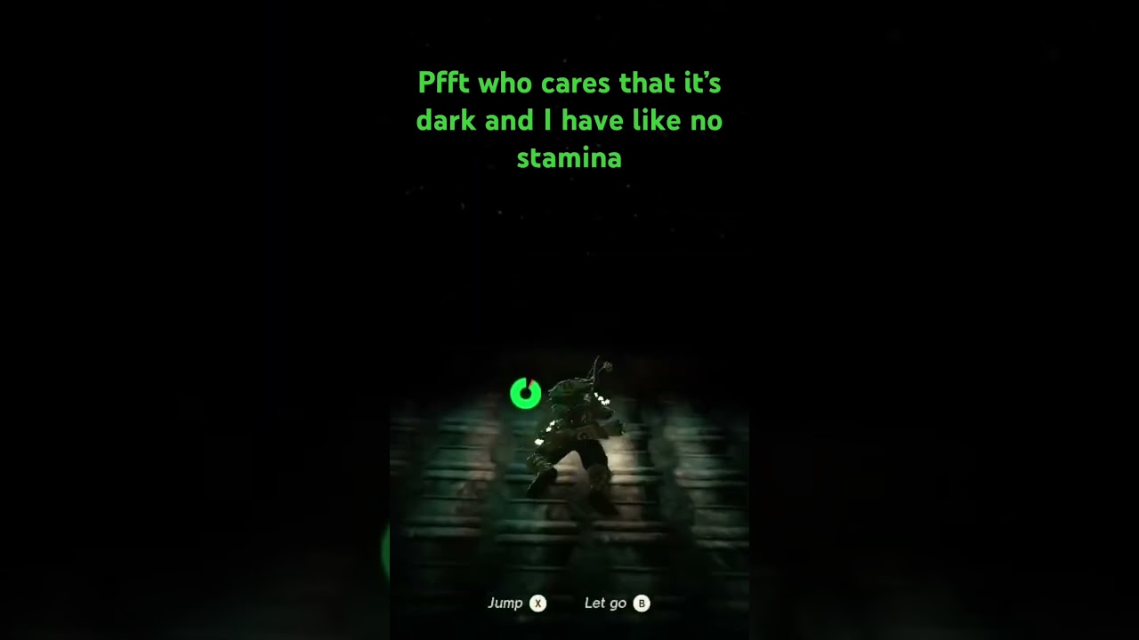 No wall nor darkness can stop Link 