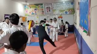 Wko Shinkyokushinkai Karate Organization