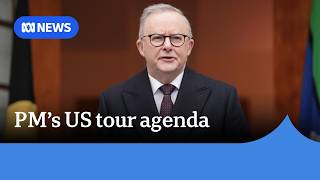 Anthony Albanese to discuss social media laws with Apple chairman Tim Cook | ABC NEWS