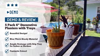 First Impressions - YNNICO 6 inch Plant Pots with Drainage Holes and Tray Saucers