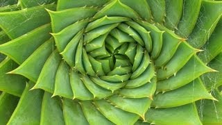 VCE Math Methods - Trigonometry Using the Unit Circle