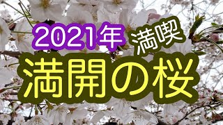 高齢者の方が喜ぶ!人気のイベントまとめ