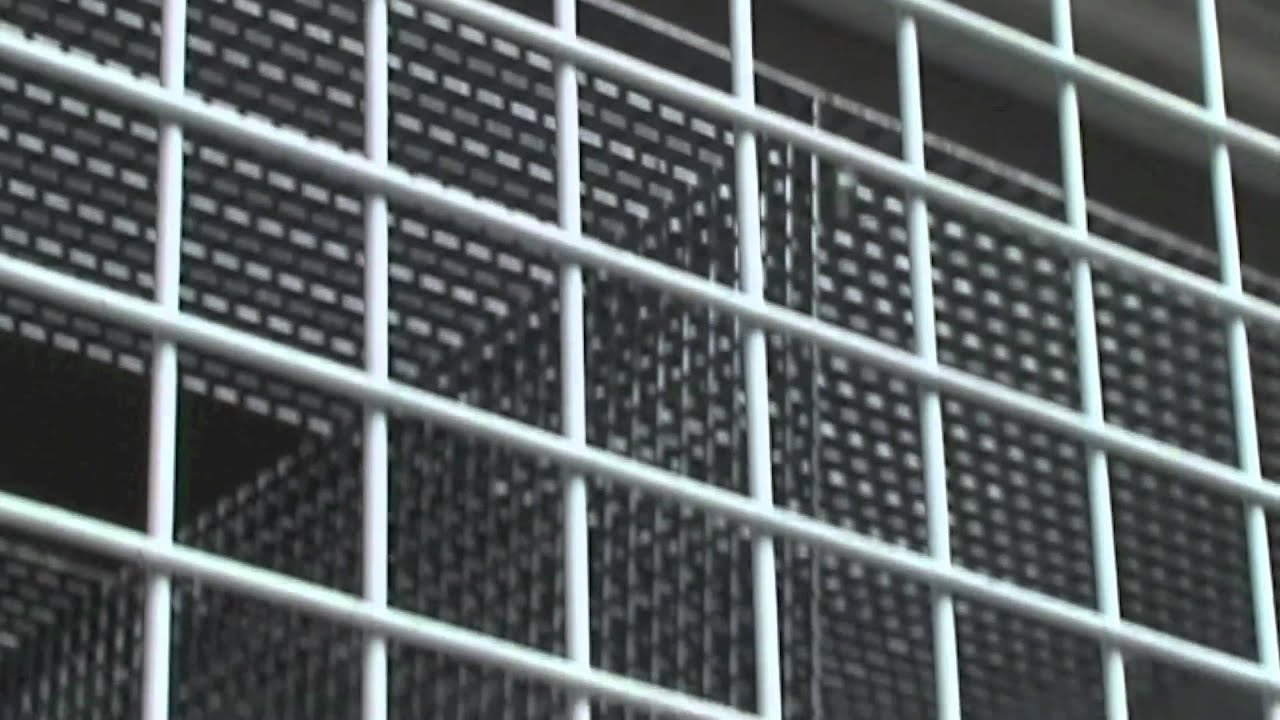 Presentazione Shelter