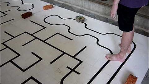 Line Maze Robot Competition (MMU Robotics)