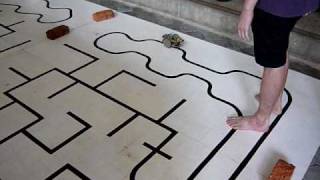 Line Maze Robot Competition (MMU Robotics)