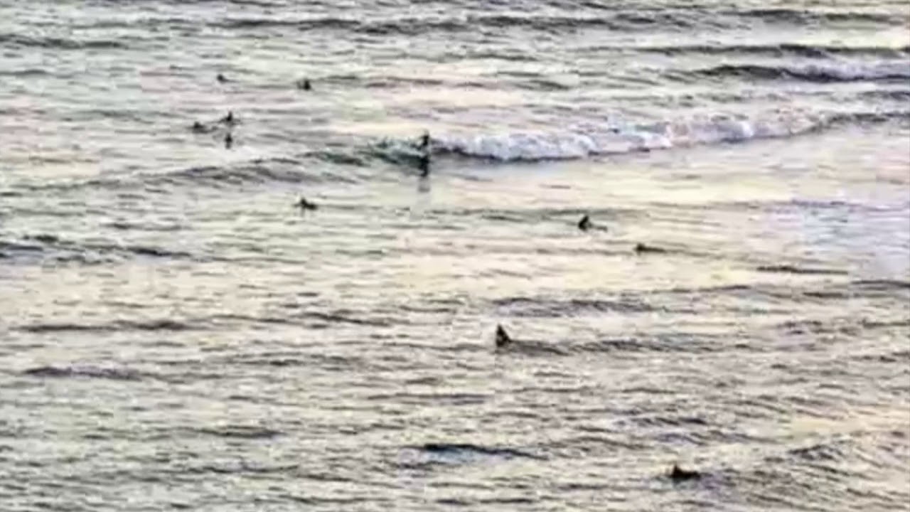 Surfing Topanga Beach may 29 YouTube