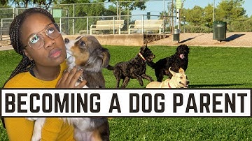 THE THINGS NO ONE TELLS YOU ABOUT OWNING A DOG IN COLLEGE