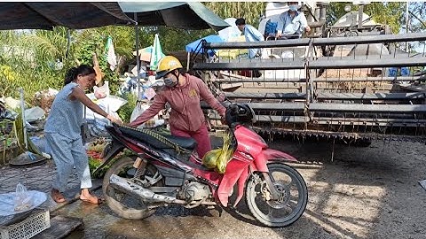 cảnh máy cắt 105 chạy bộ vào chợ vào ruộng tập172 #maibangtv