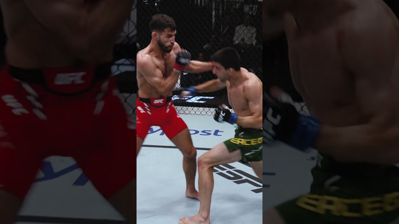 Steve Erceg is back at 