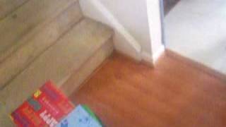 101_8408.mov