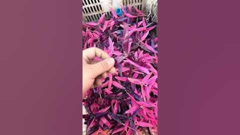 🌀 600+ FPV Drone Propellers! Can You Guess How Many? 🚁