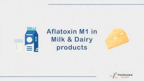 Aflatoxin M1 in Milk & Dairy products