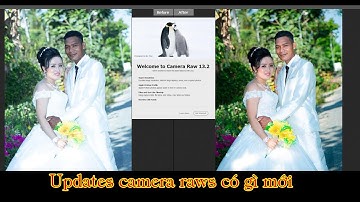 Chia Sẻ Camera Raws mới update 13.2 có gì mới | Chiasephotoshop