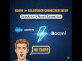 Boomi Salesforce Connection SetUp #boomitraining #salesforce