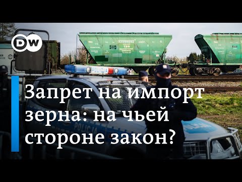 Запрет на импорт украинского зерна в некоторые страны ЕС: что за этим стоит?