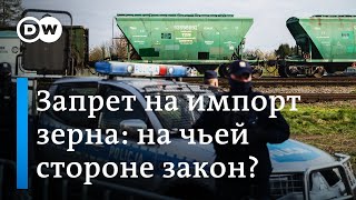 Запрет на импорт украинского зерна в некоторые страны ЕС: что за этим стоит?